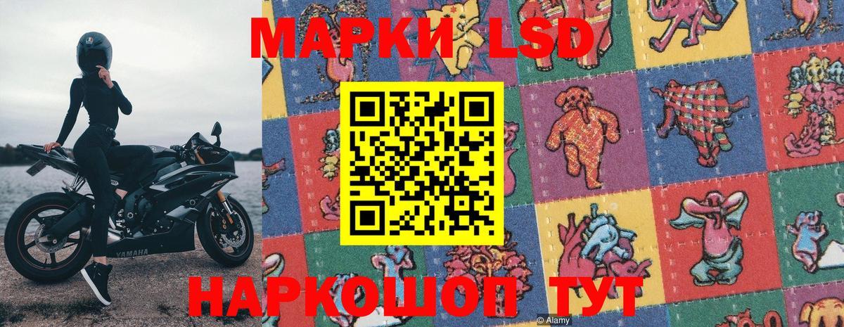 Марки NBOMe 1500мкг  Вход с VPN  Марки 25I-NBOMe  Новозыбков  Марки NBOMe 1500мкг 