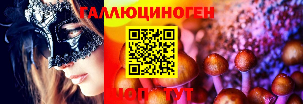 Псилоцибиновые грибы Psilocybe Новозыбков